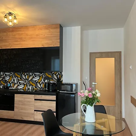 Luxusni Nmnm Essence Nove Mesto na Morave