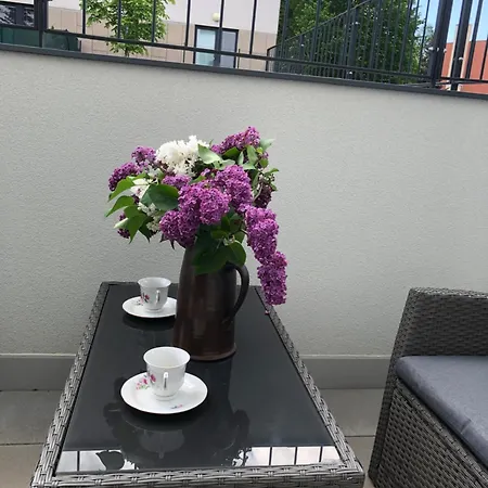 Luxusni Nmnm Essence Nove Mesto na Morave